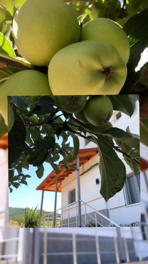 Hotel Apostoli Përmet Kültér fotó